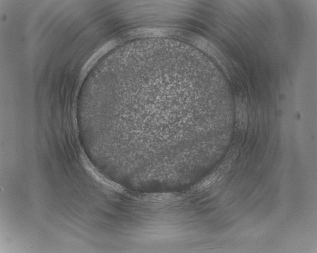 X0000072501090200608041435