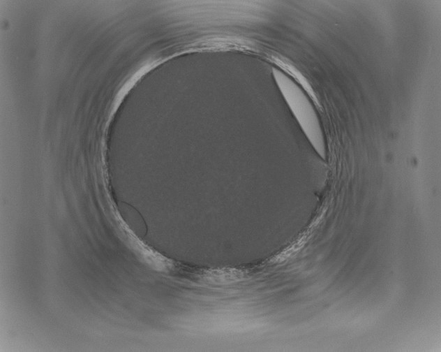 X0000072501091200608041435