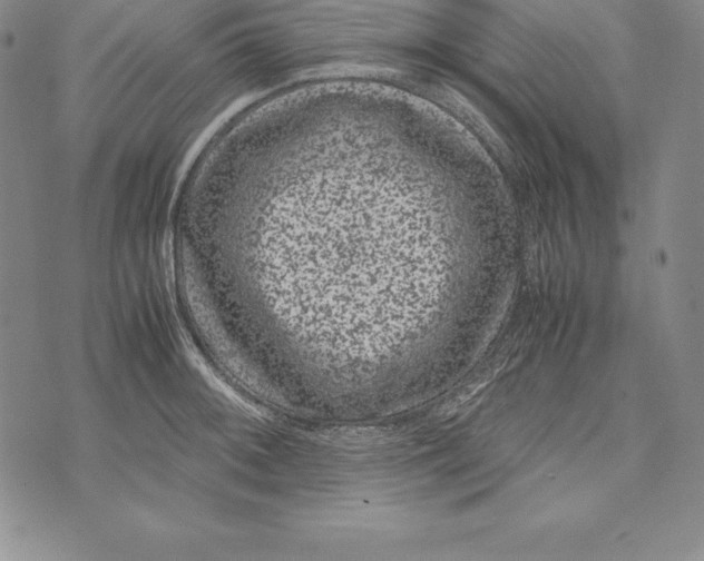 X0000072501092200608041435