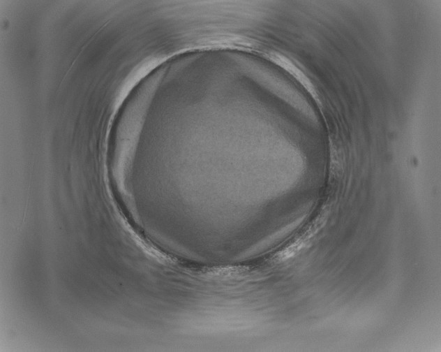 X0000072501093200608041435