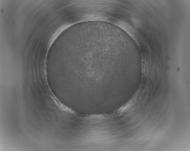 X0000072501094200608041435