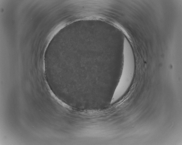 X0000072501095200608041435