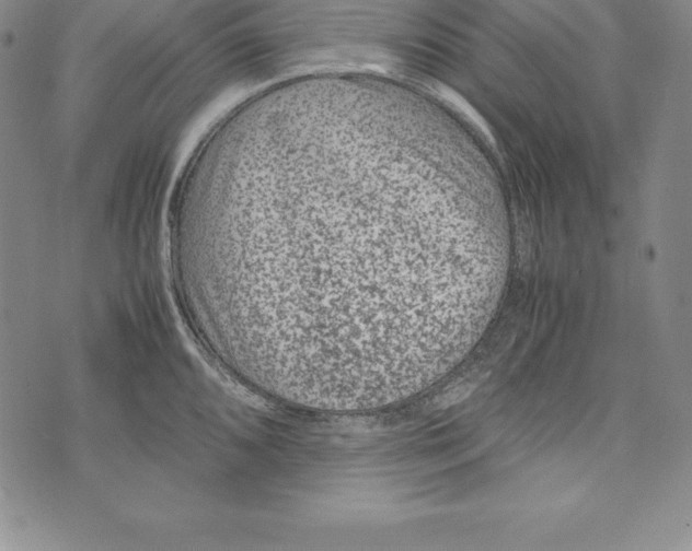 X0000072501096200608041435