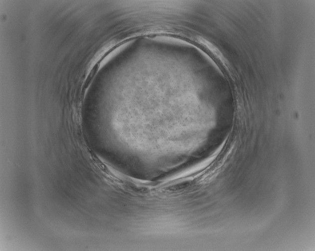 X0000072501097200608041435