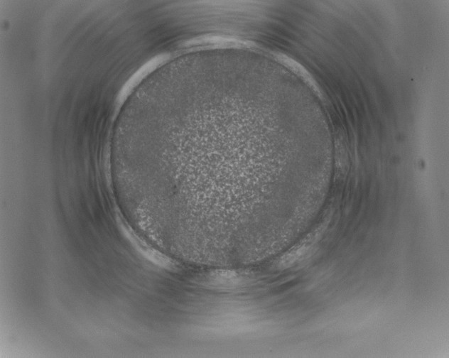 X0000072501098200608041435