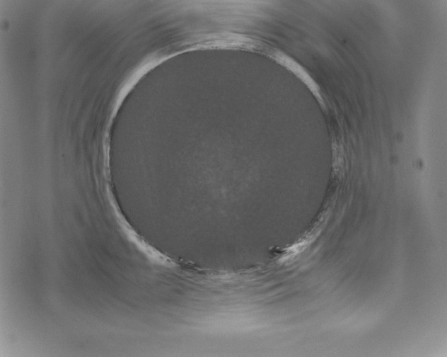 X0000072501099200608041435