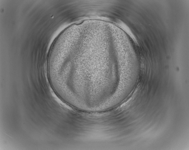 X0000072501100200608041435