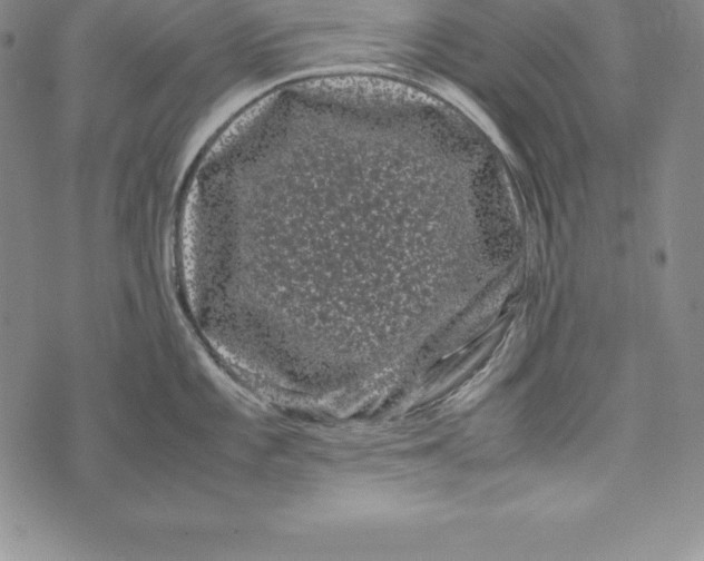 X0000072501101200608041435