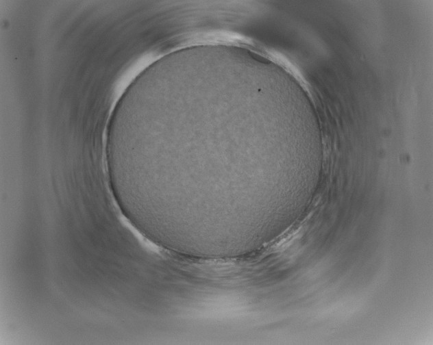 X0000072501103200608041435