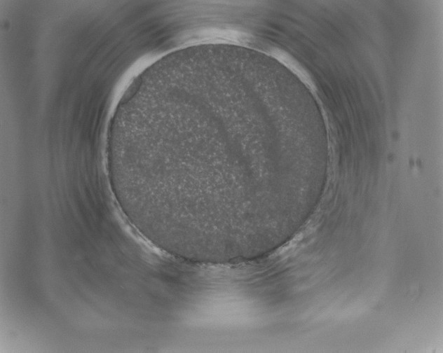 X0000072501104200608041435