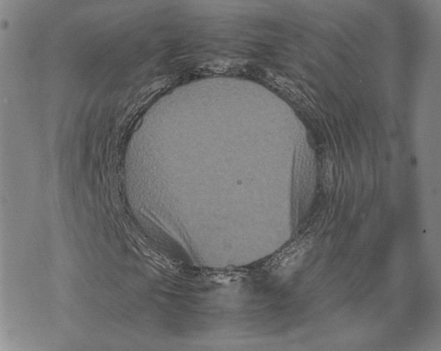 X0000072501105200608041434