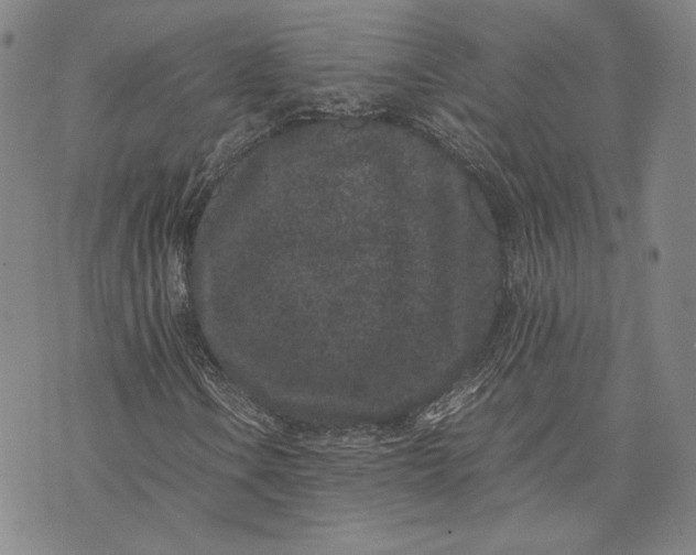 X0000072501106200608041434