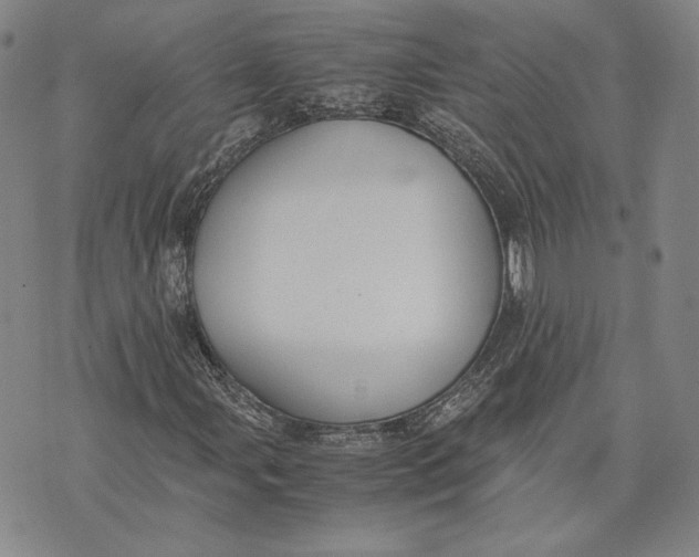 X0000072501107200608041434