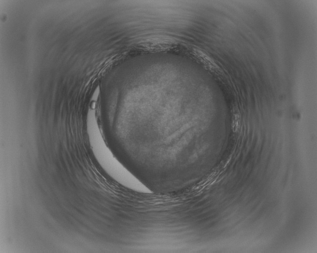 X0000072501108200608041434