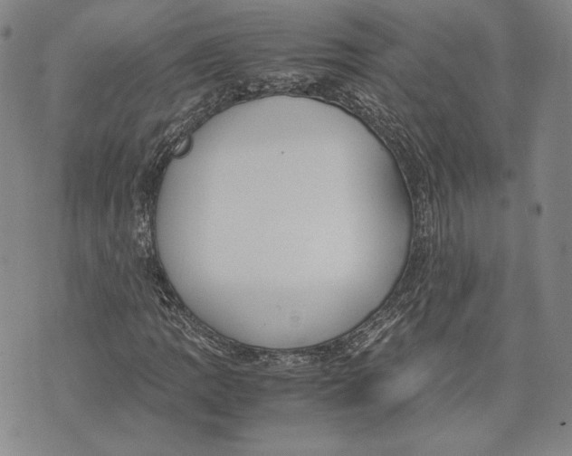 X0000072501109200608041434