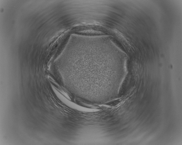 X0000072501110200608041434