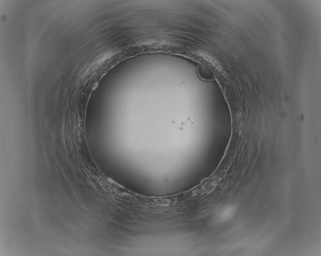 X0000072501111200608041434