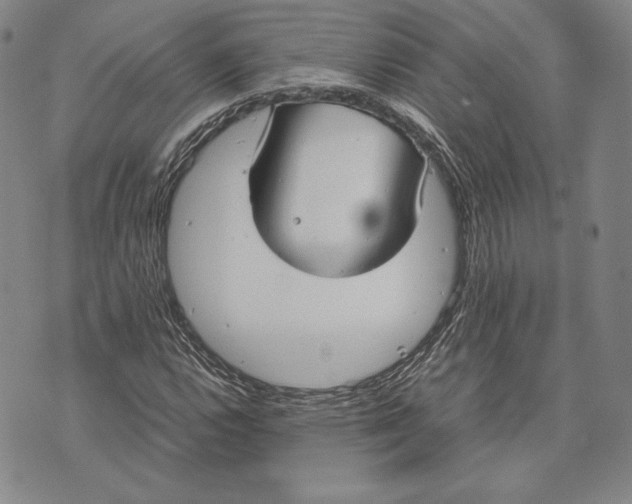 X0000072501112200608041434