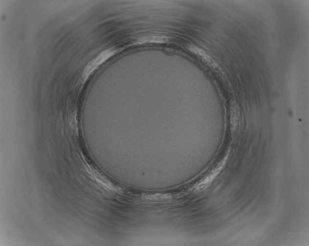 X0000072501113200608041434