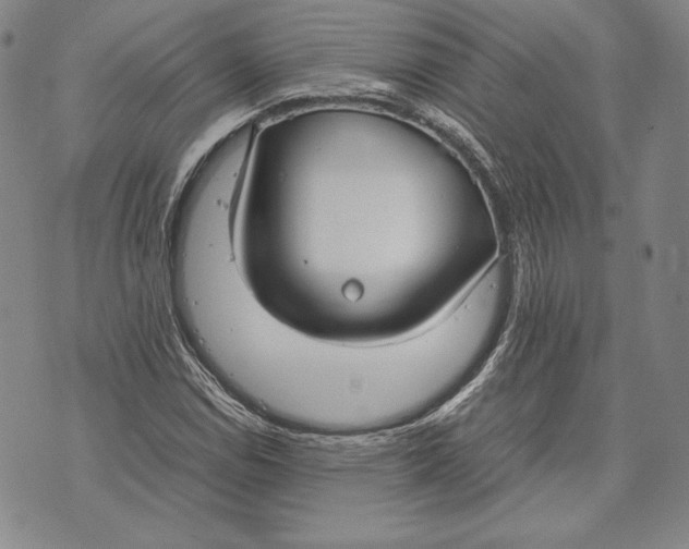 X0000072501114200608041434