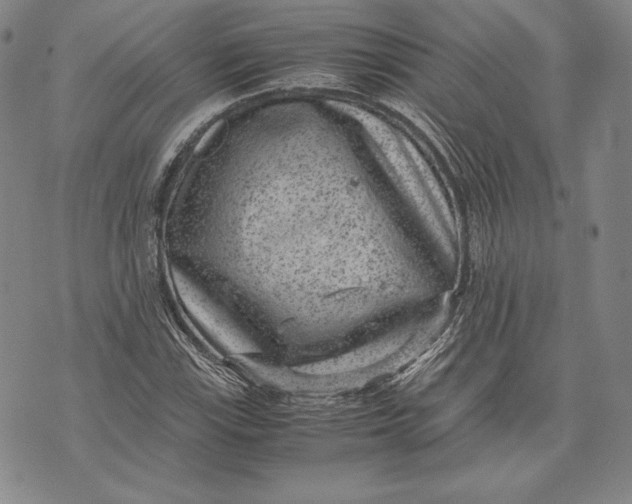 X0000072501115200608041434