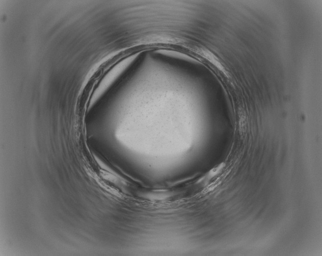 X0000072501116200608041434