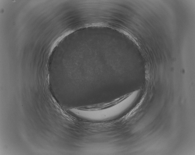 X0000072501117200608041434