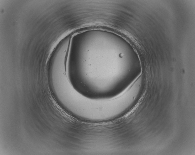 X0000072501118200608041434