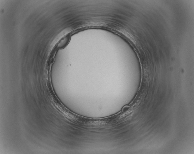 X0000072501119200608041434