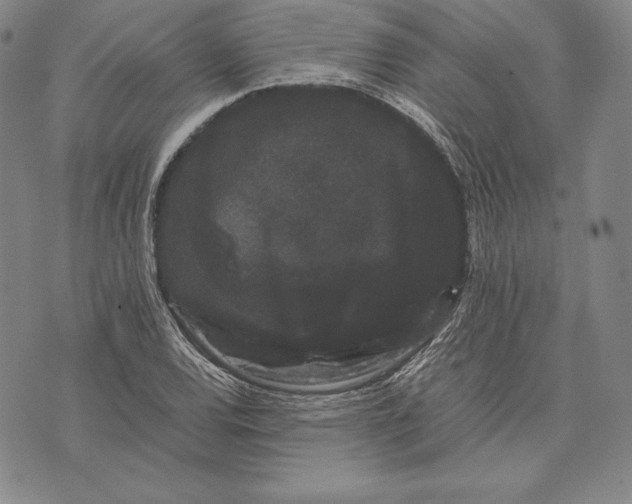 X0000072501120200608041434