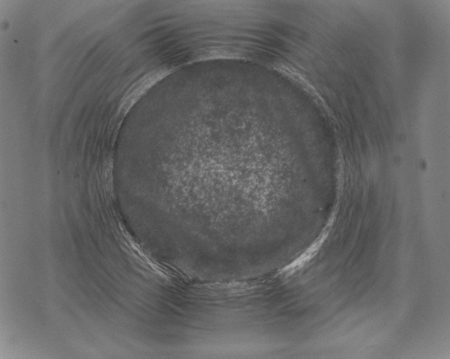 X0000072501121200608041434