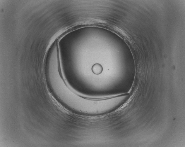 X0000072501122200608041434