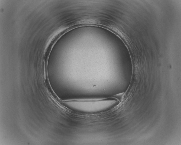 X0000072501123200608041434