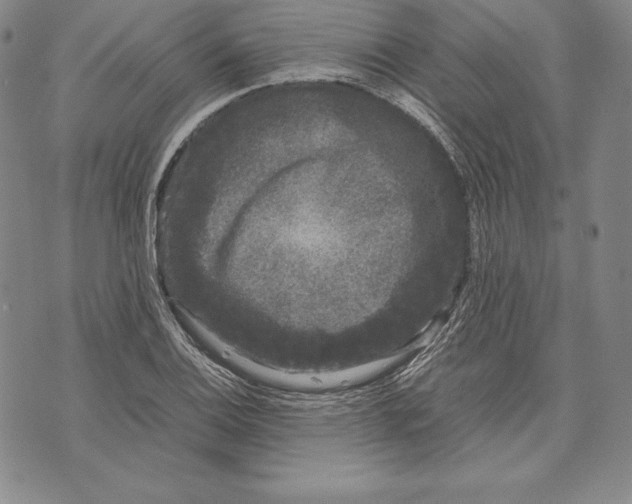 X0000072501124200608041434