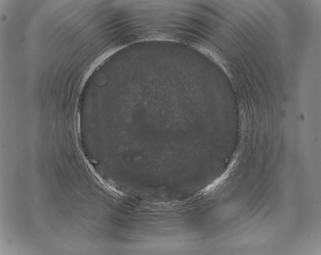 X0000072501125200608041434