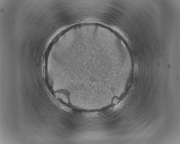 X0000072501126200608041434