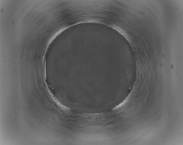 X0000072501127200608041434