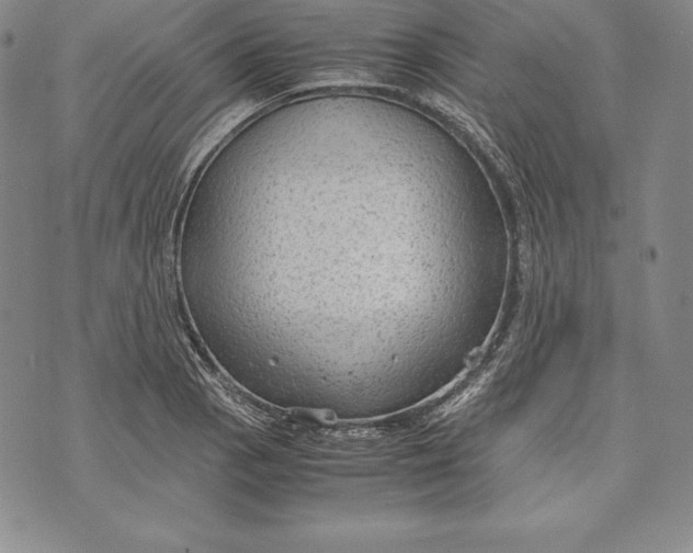 X0000072501129200608041434