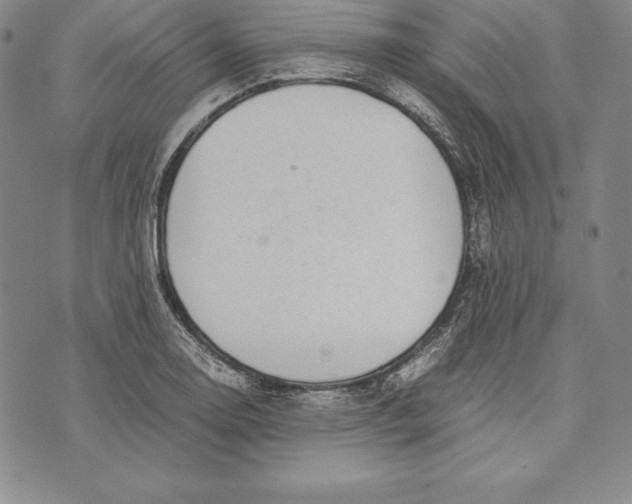 X0000072501130200608041434