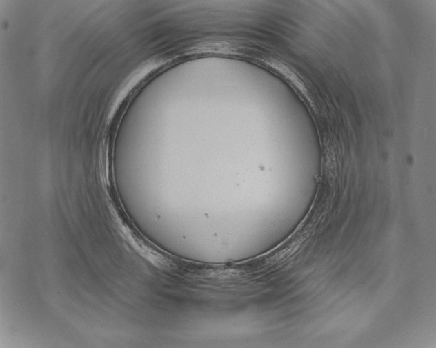 X0000072501131200608041434