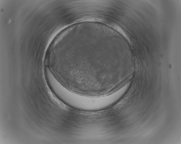 X0000072501132200608041434