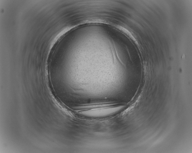 X0000072501133200608041434