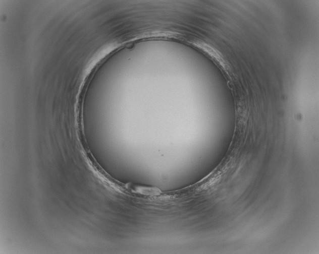 X0000072501135200608041434