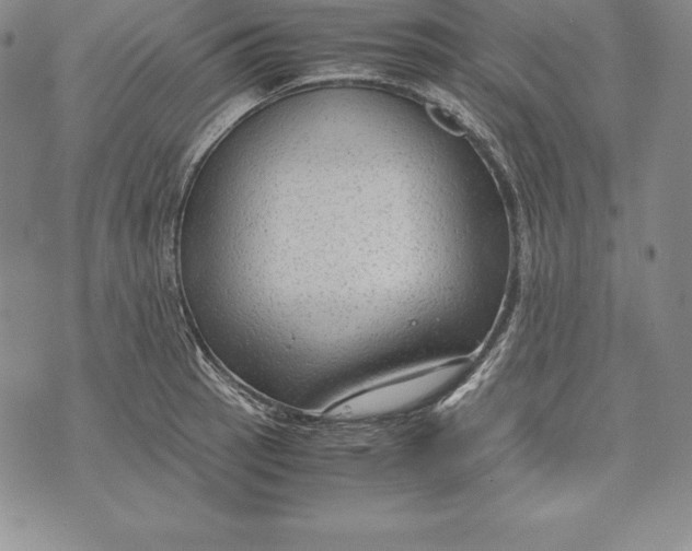 X0000072501137200608041434