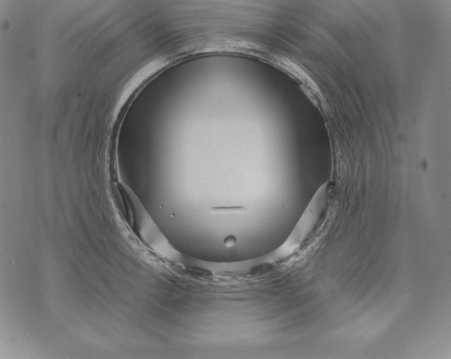 X0000072501138200608041434