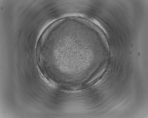 X0000072501140200608041434