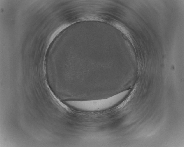 X0000072501141200608041435