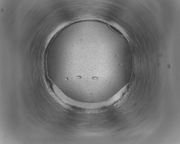 X0000072501142200608041435