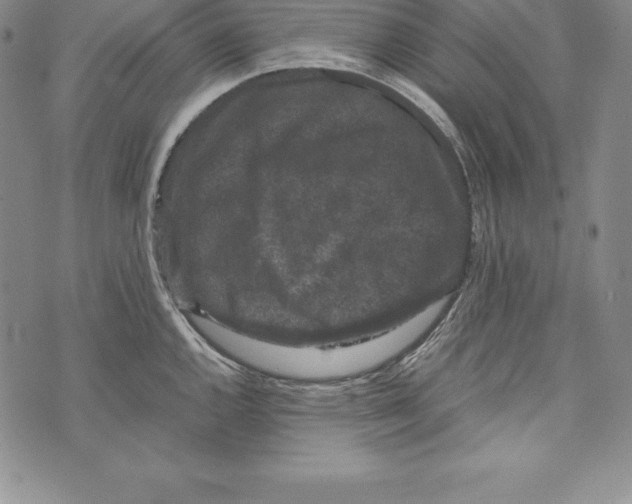 X0000072501144200608041435