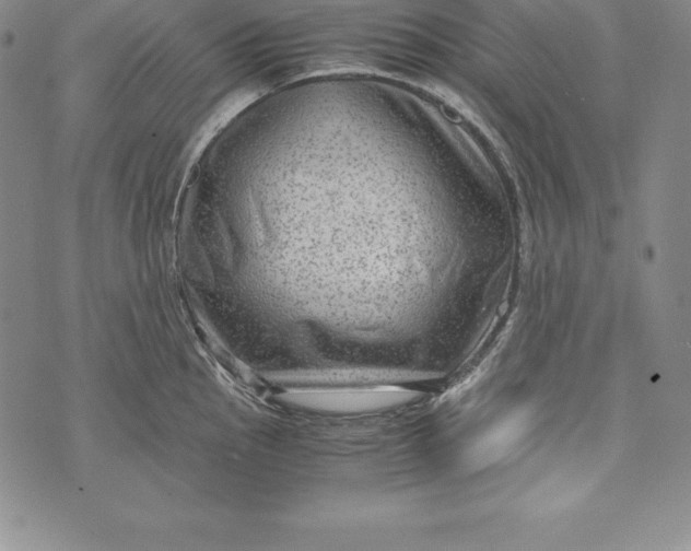 X0000072501145200608041435